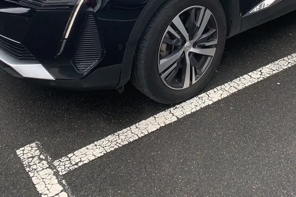 Glow Prestige — photo 2