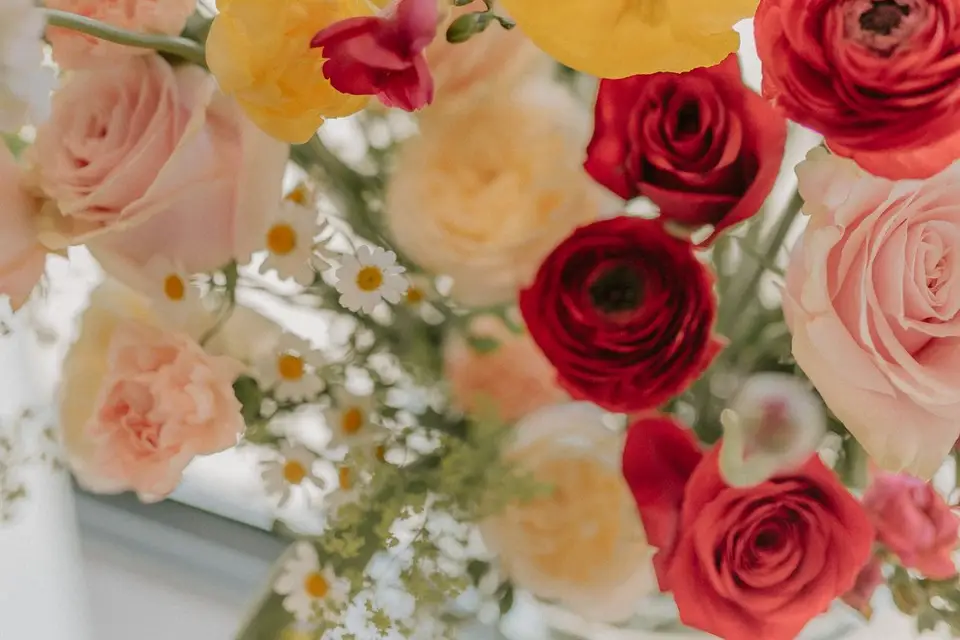 Emma Couleur Citron — photo 5