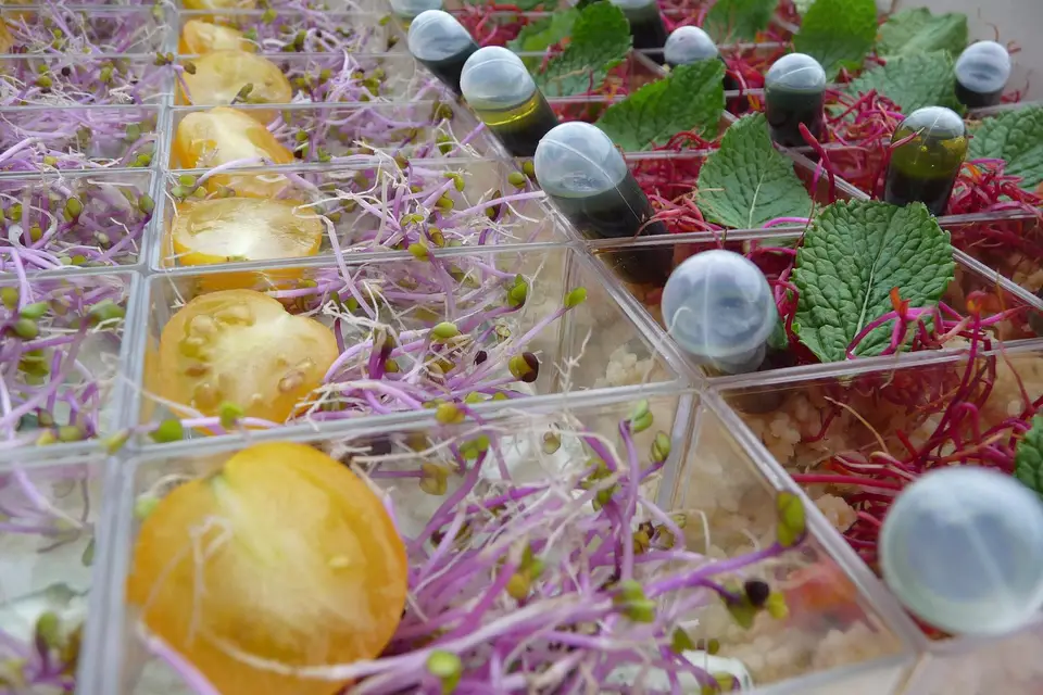 Les Traiteurs du Val — photo 8