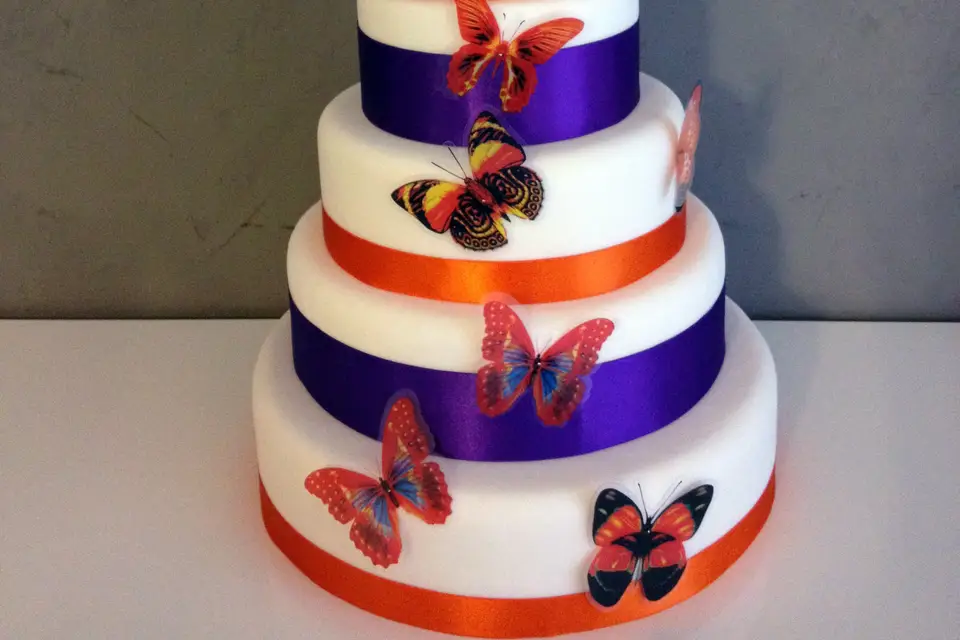 Cake Délice — photo 2