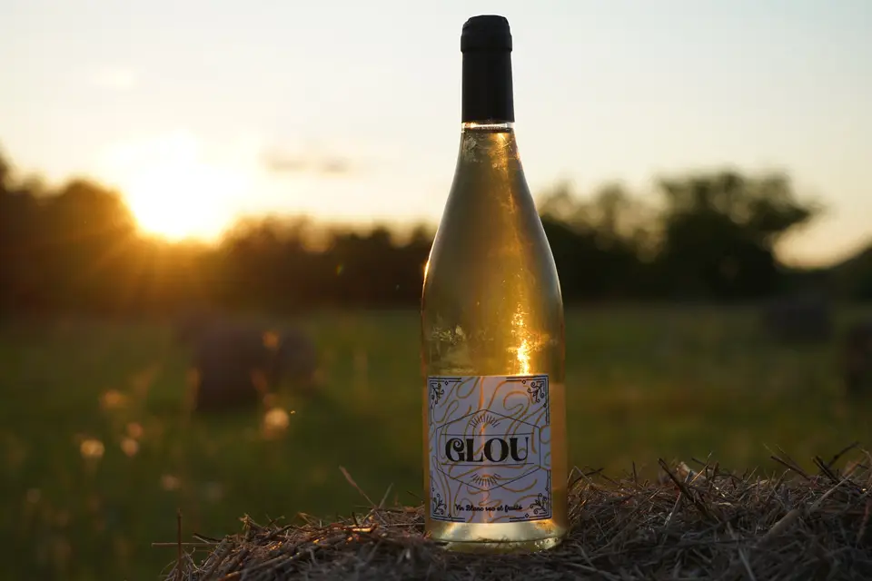 Ma Dame-Jeanne — photo 3