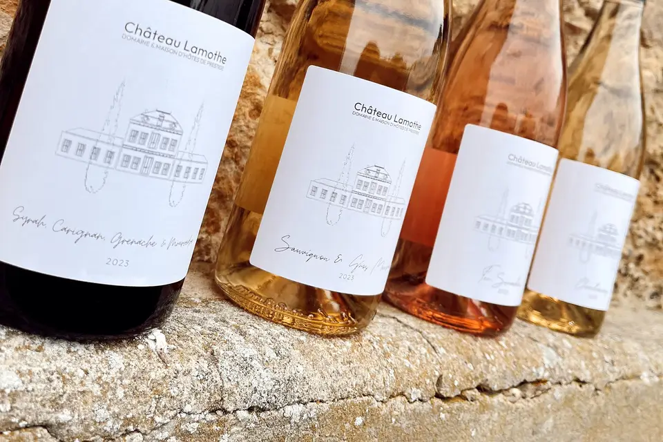 Ma Dame-Jeanne — photo 8