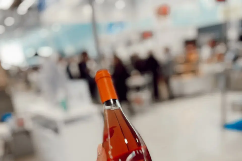 Ma Dame-Jeanne — photo 4