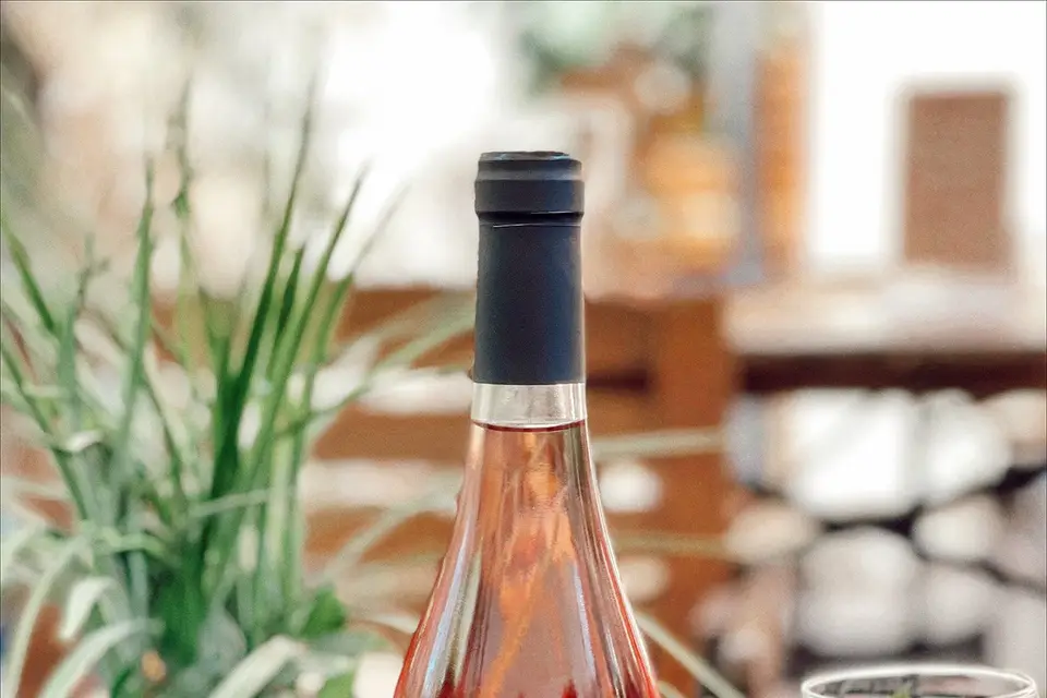 Ma Dame-Jeanne — photo 6