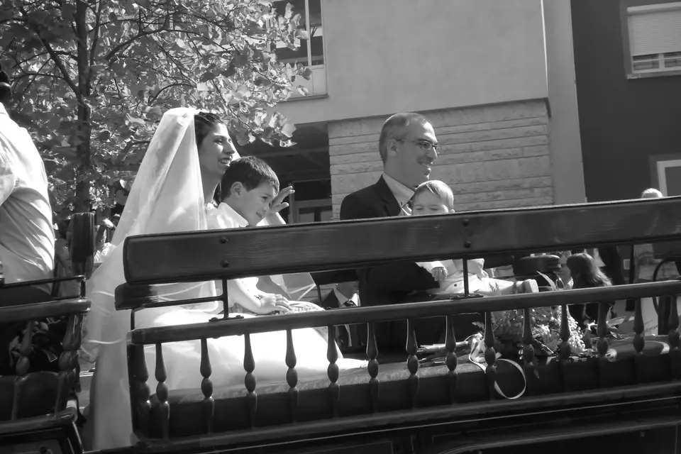 AF Traction Animale — photo 4