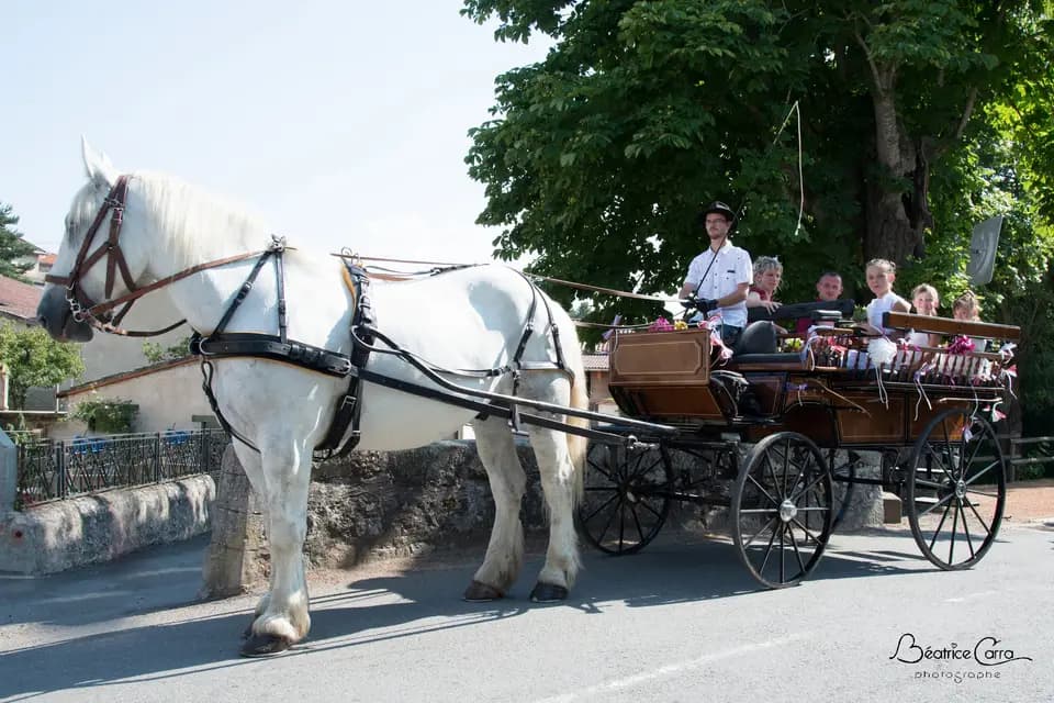 AF Traction Animale — photo 2