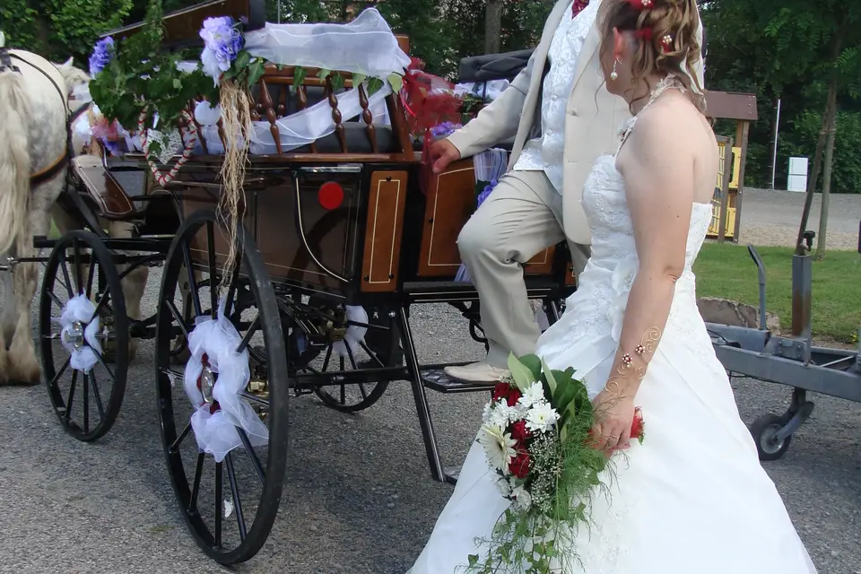 AF Traction Animale — photo 1