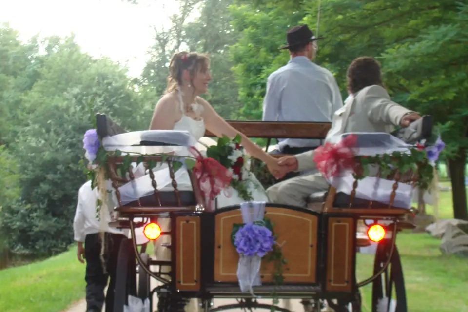 AF Traction Animale — photo 6