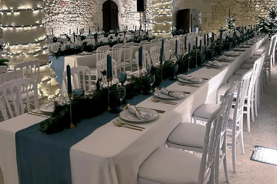 Château de Montmirail — photo 6