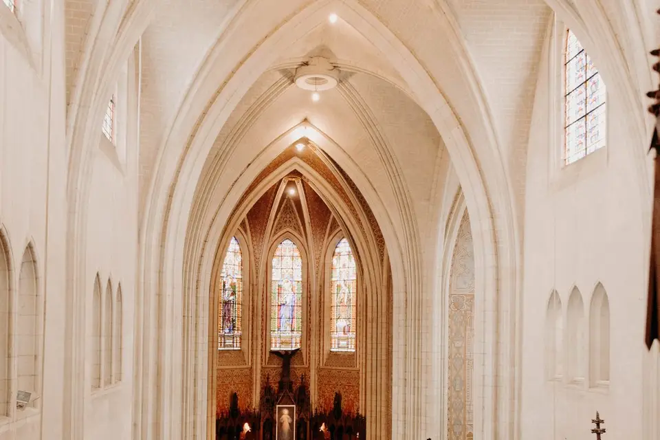 Albatrosphotographie — photo 4