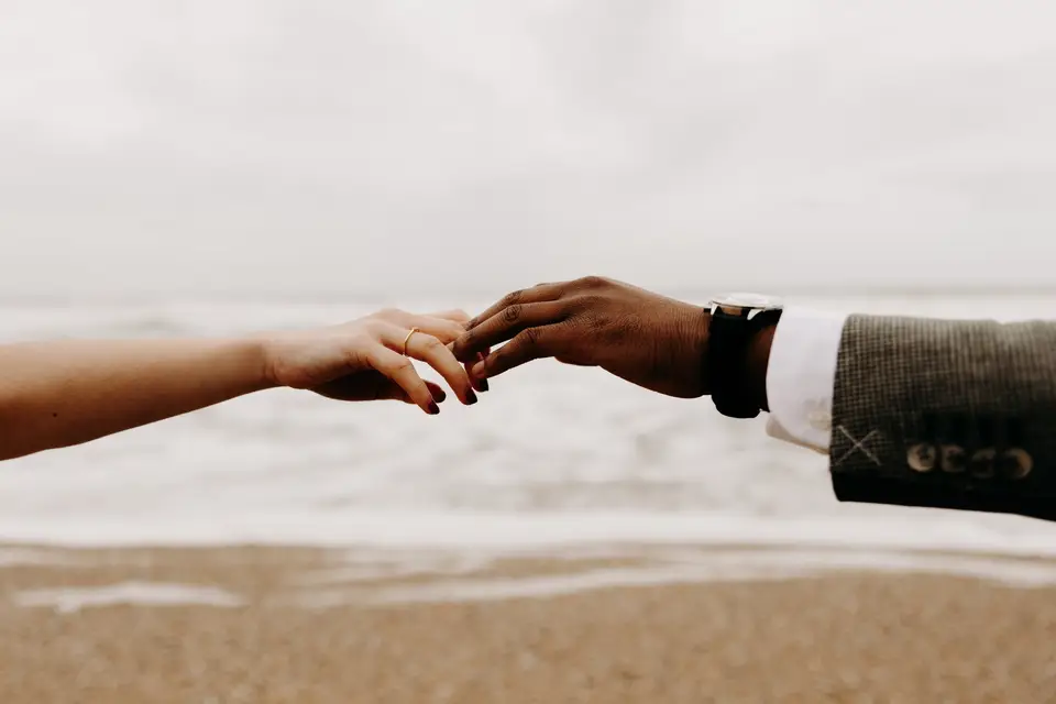 Albatrosphotographie — photo 6