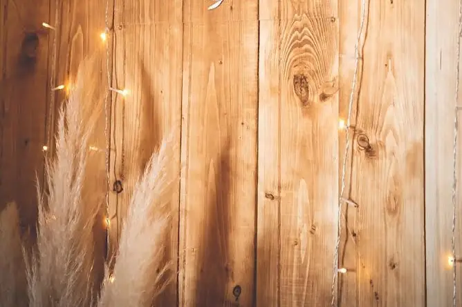 Jolly Events — photo 3