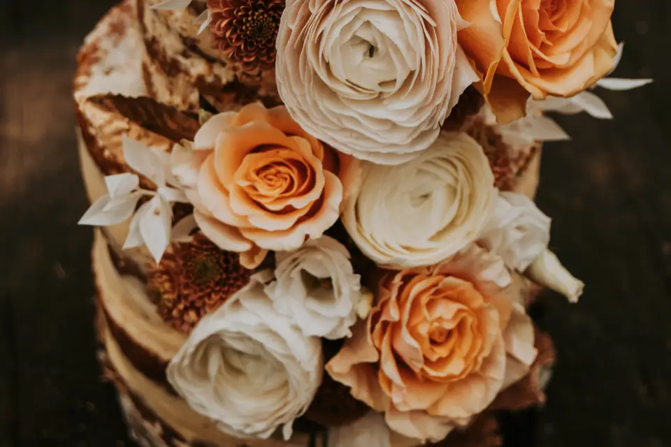 Albatrosphotographie — photo 8