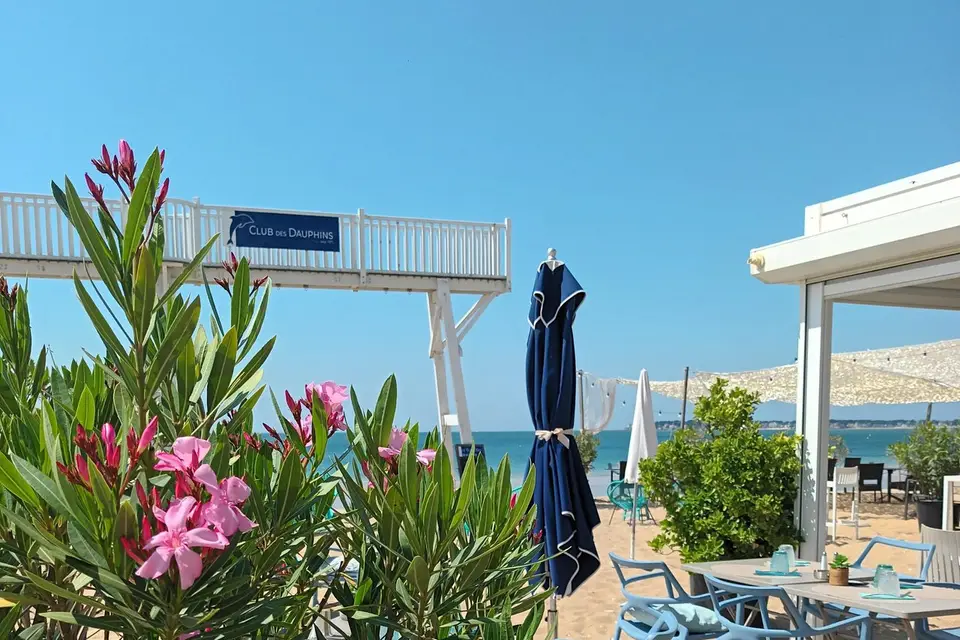 Les Dauphins — photo 5