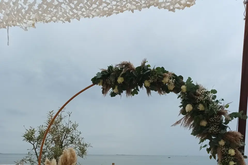 Les Dauphins — photo 7