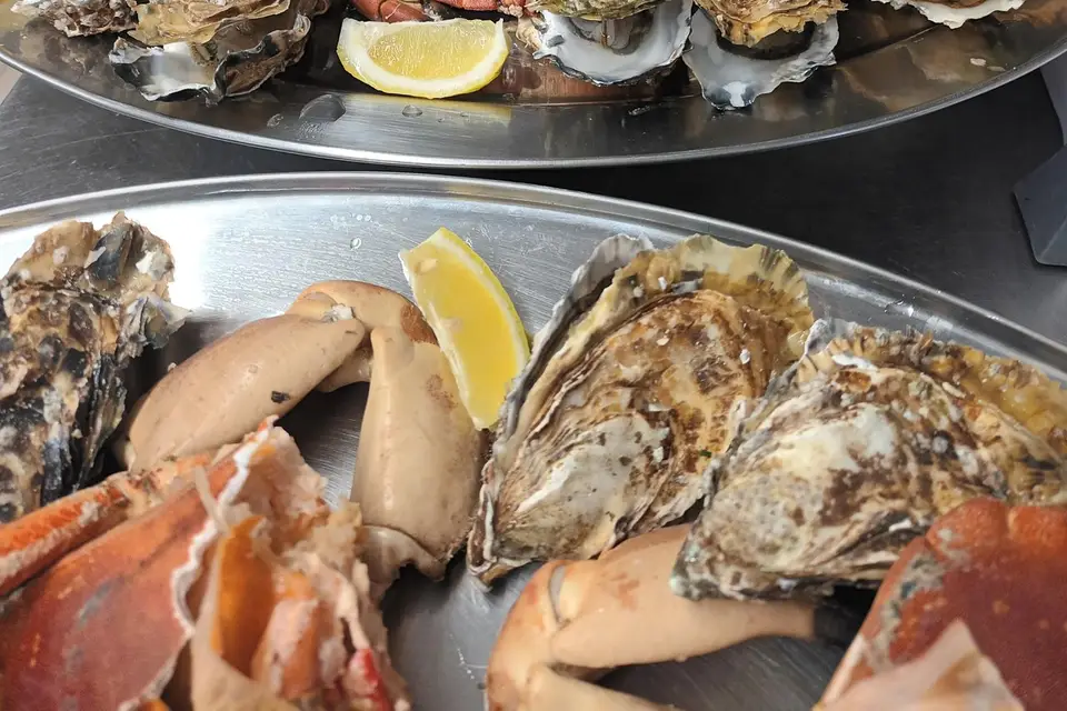 Les Dauphins — photo 6