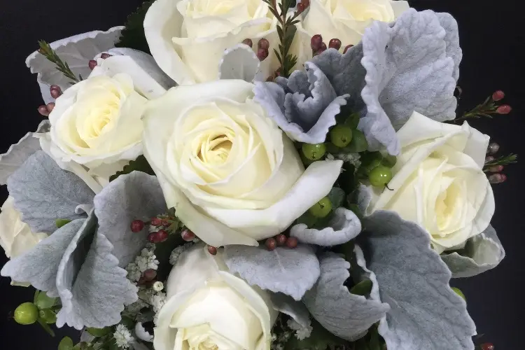 Joubert Romain — photo 3