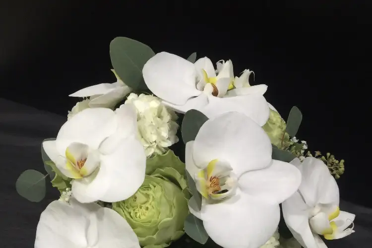 Joubert Romain — photo 5