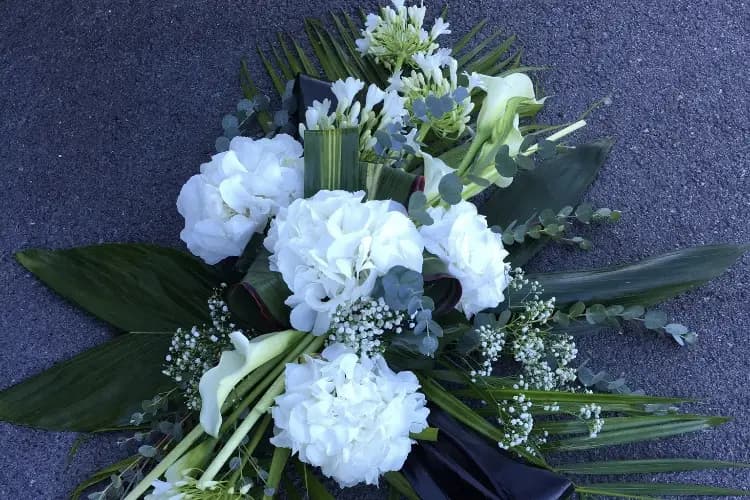 Joubert Romain — photo 6