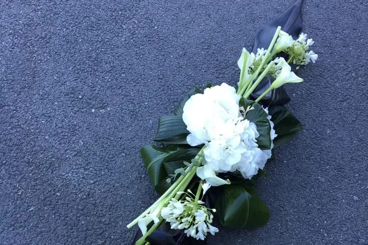 Joubert Romain — photo 7