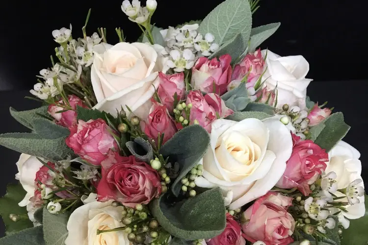 Joubert Romain — photo 8