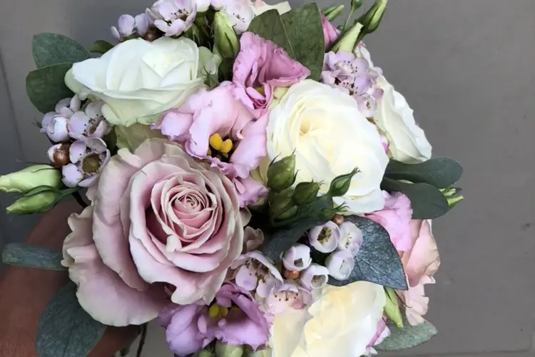 Joubert Romain — photo 1