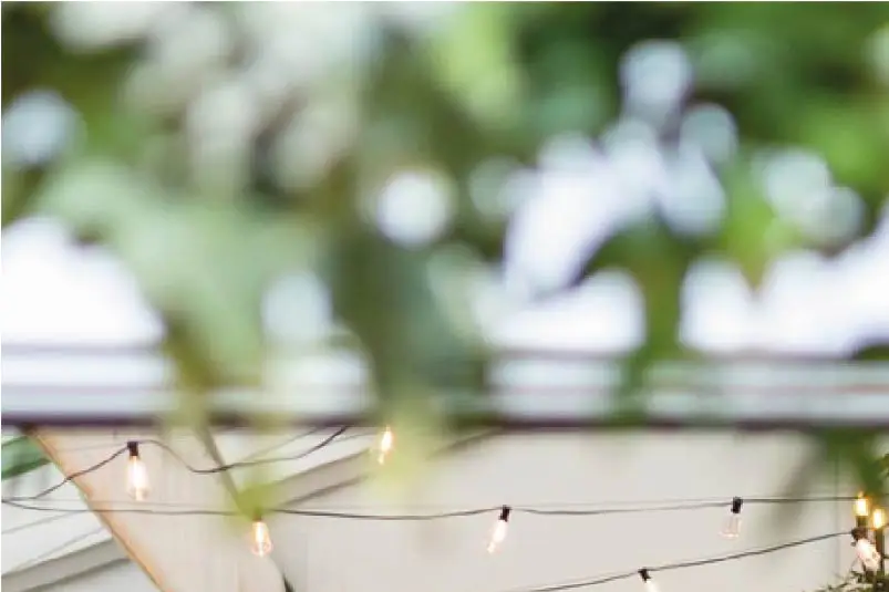 CraftNCats — photo 5