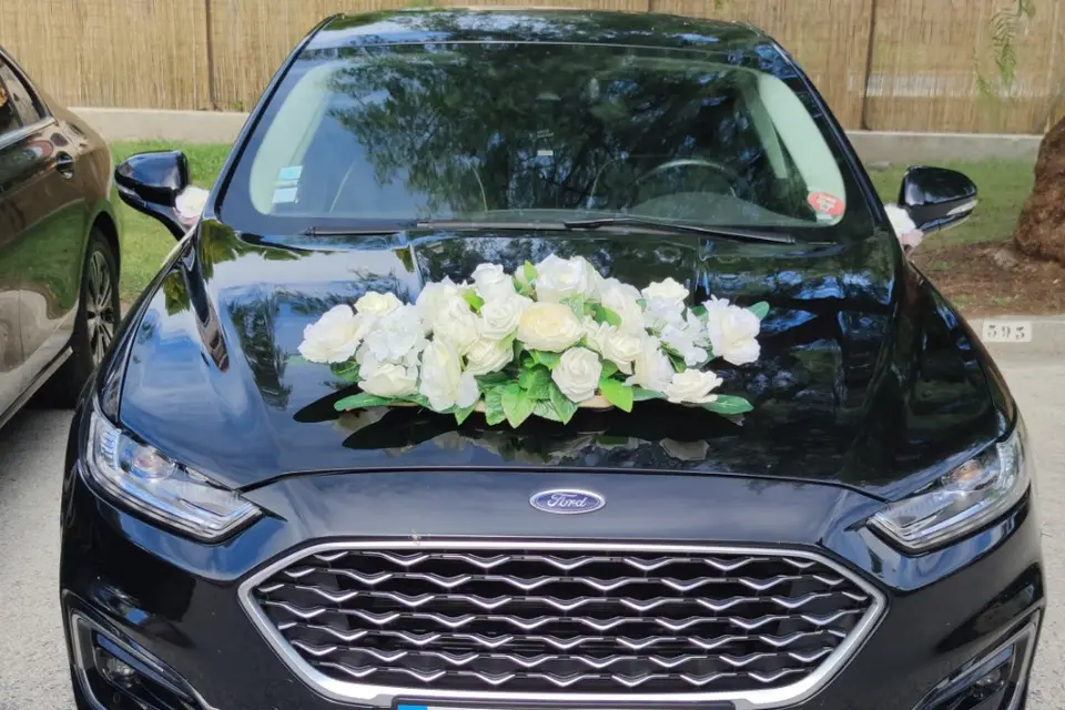 VitalTransAzur — photo 8