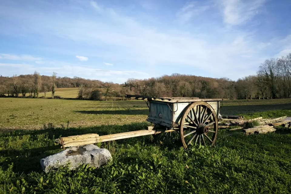 Villa Elena — photo 3