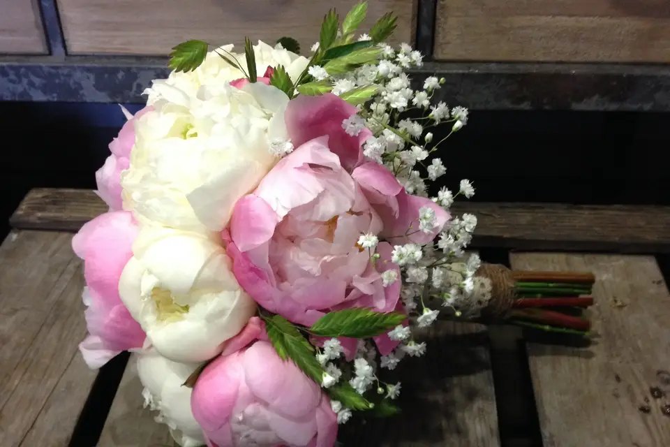 Galanthe — photo 2