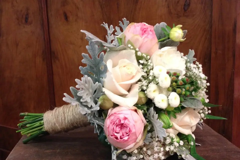 Galanthe — photo 5