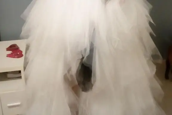 Tenues de Soirée — photo 8