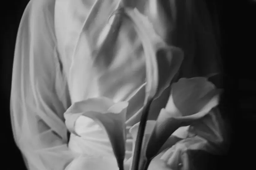 On dirait le Sud... — photo 5