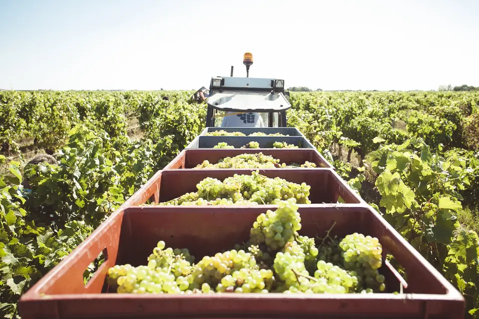 Vacy Yohann Welvaert — photo 1