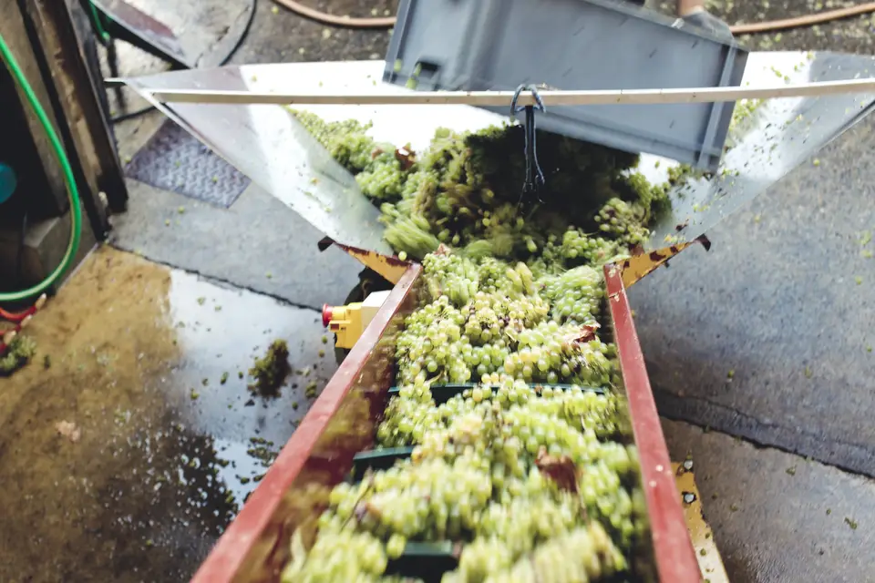 Vacy Yohann Welvaert — photo 7