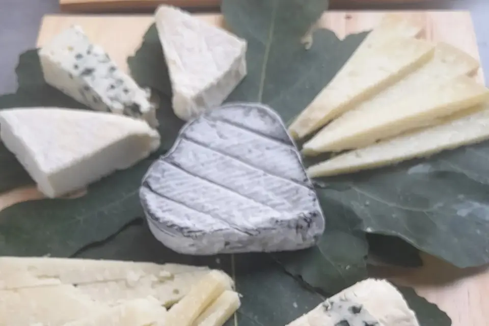 Tout à la Broche — photo 5