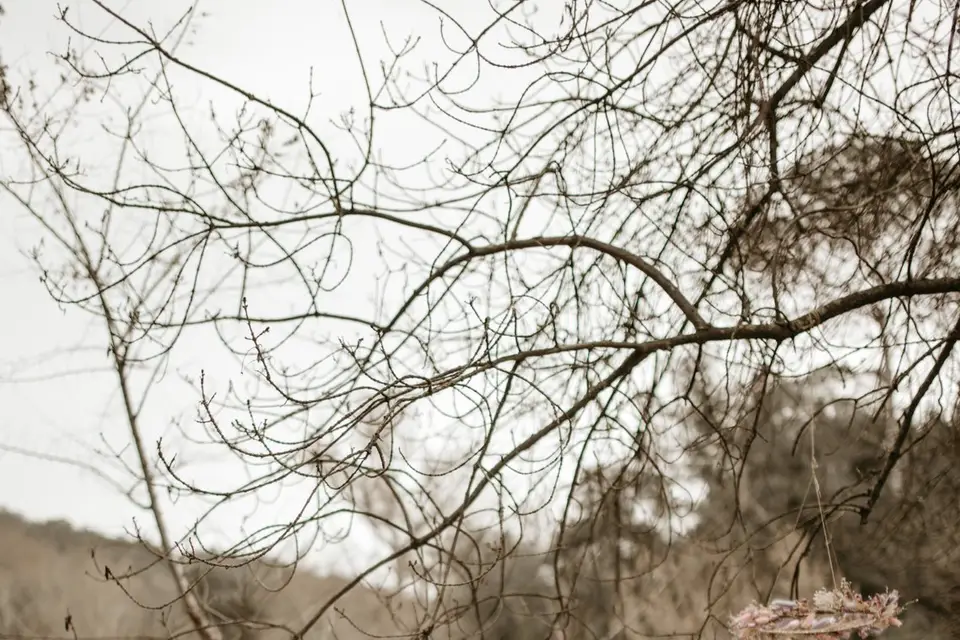 L'Étincelle Cérémonies — photo 7