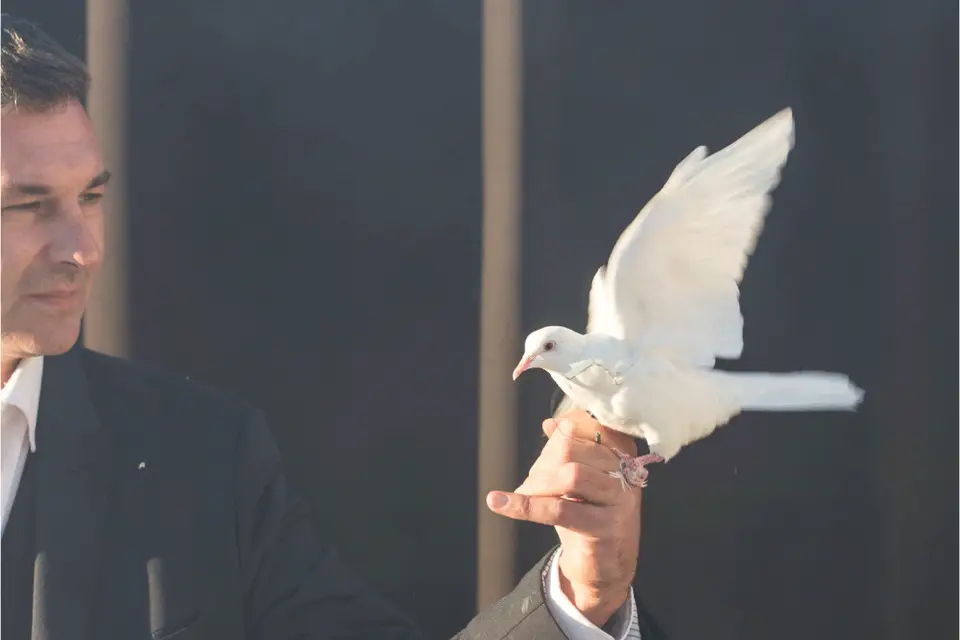 Magie Landes — photo 6