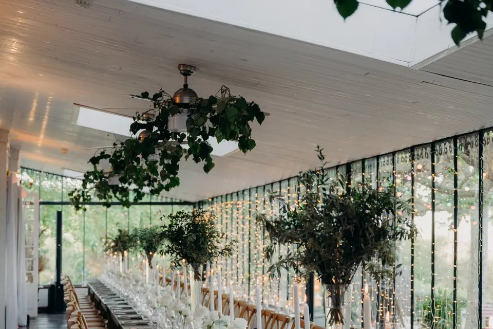 [O]rchis — photo 2