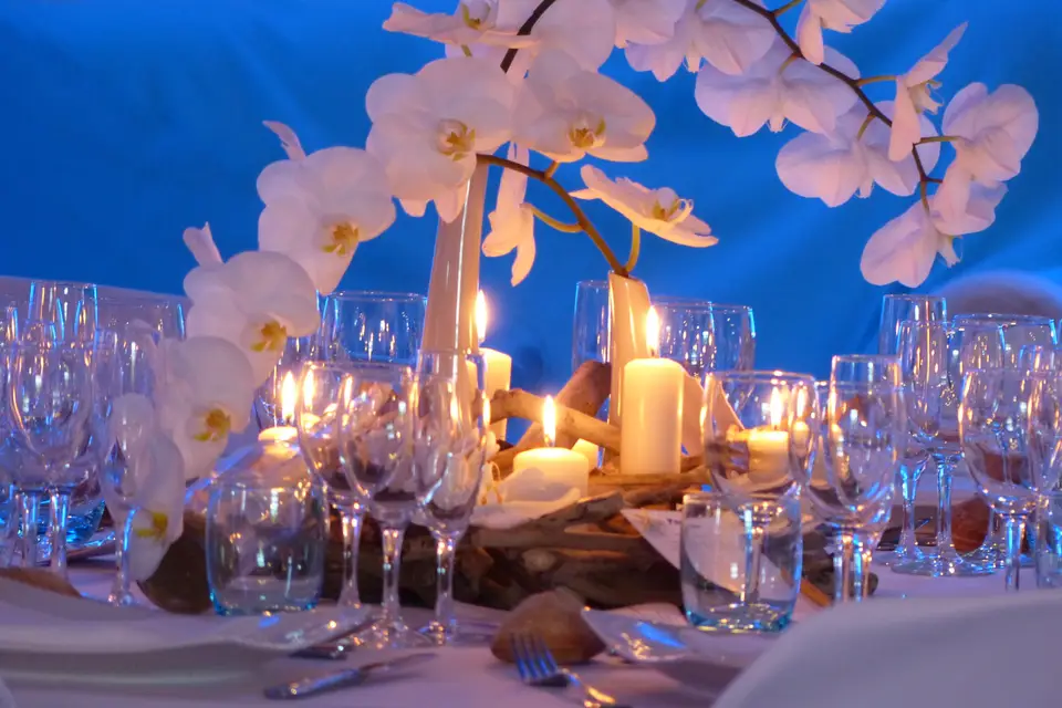 [O]rchis — photo 8