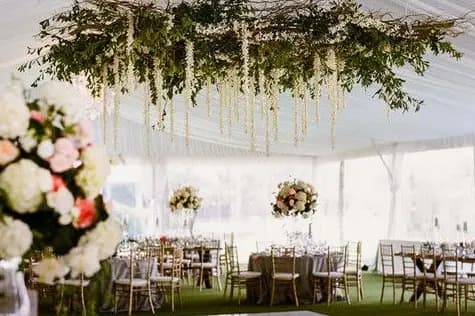 Vegetal Evasion — photo 8