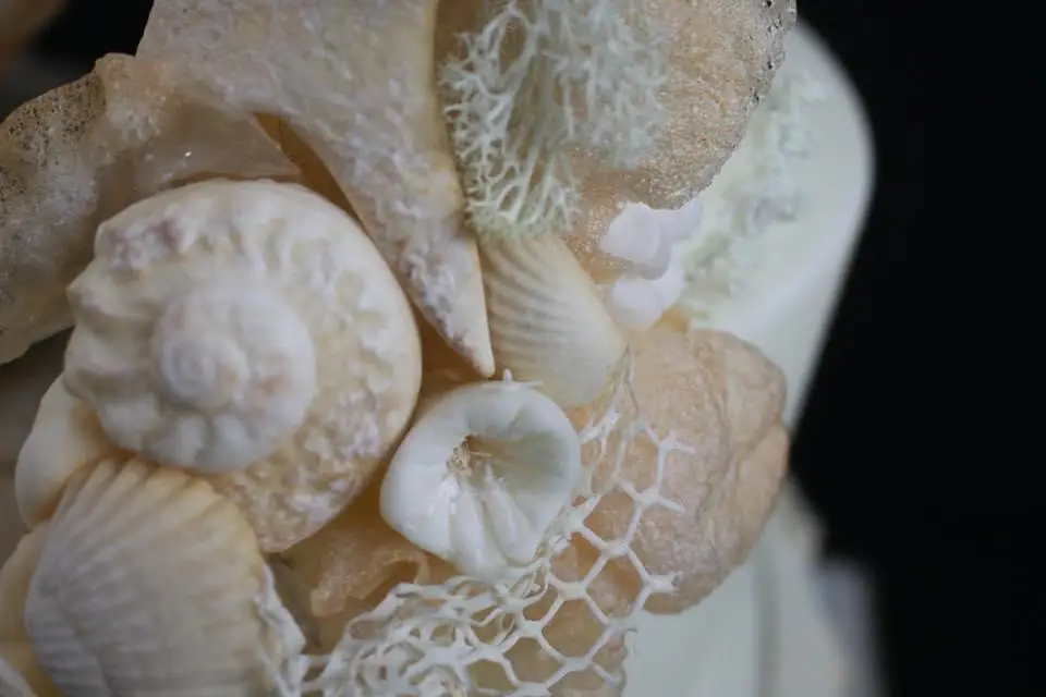 Fairy’line — photo 8