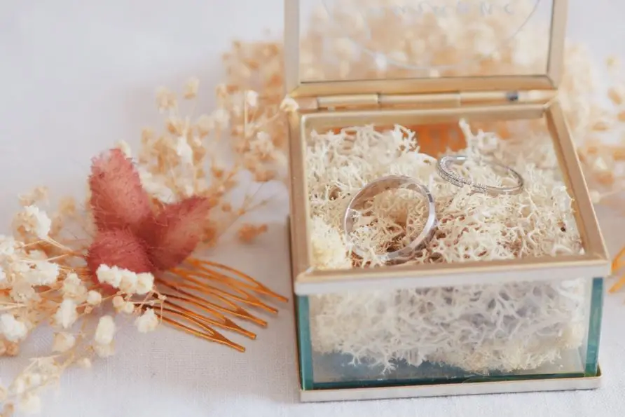 Antoine Bernard Vidéaste — photo 1