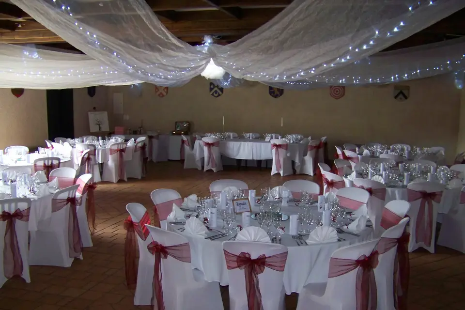 Château de Féligonde — photo 6