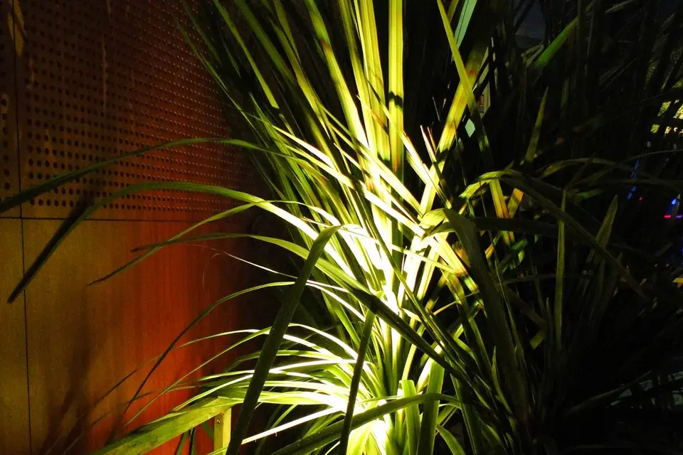 AZ Evènementiel — photo 7