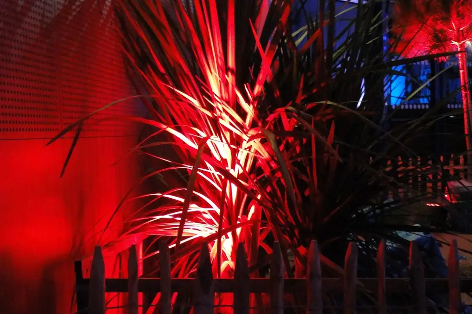 AZ Evènementiel — photo 8