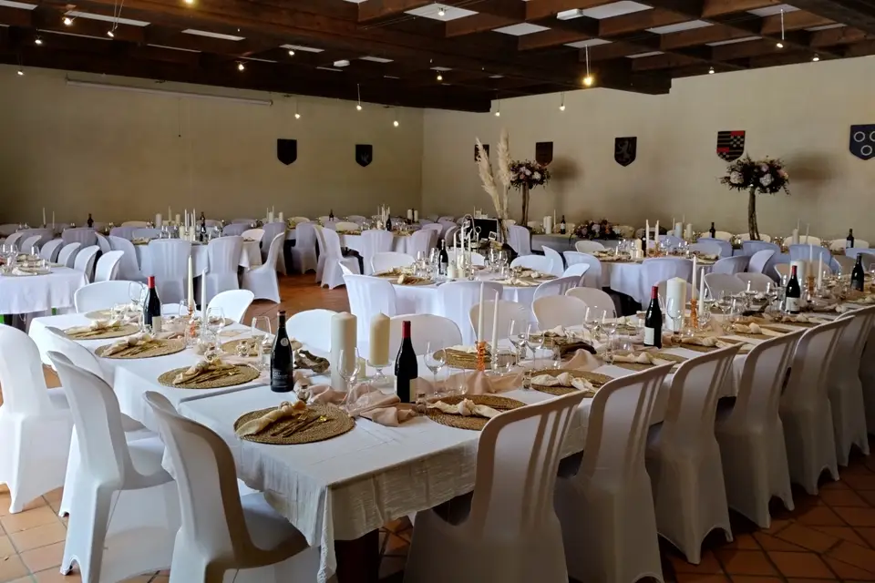 Château de Féligonde — photo 8