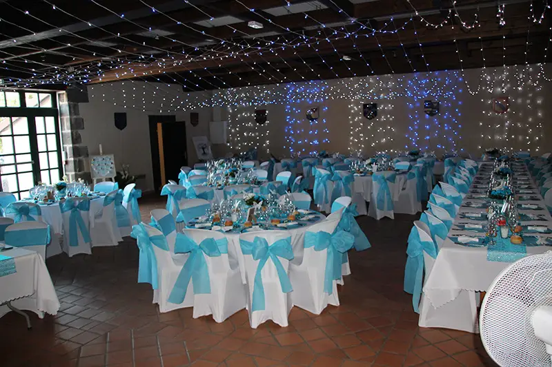 Château de Féligonde — photo 7