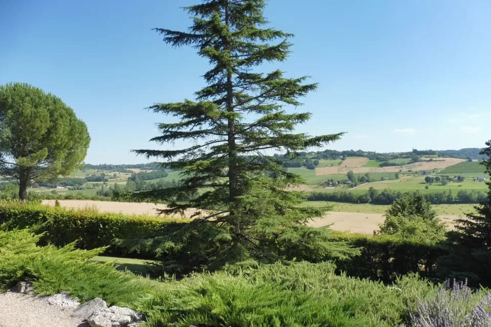 La Maison de Maitre — photo 4