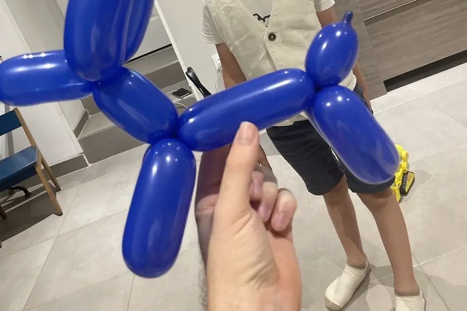 Kid’s Anim Wedding — photo 7